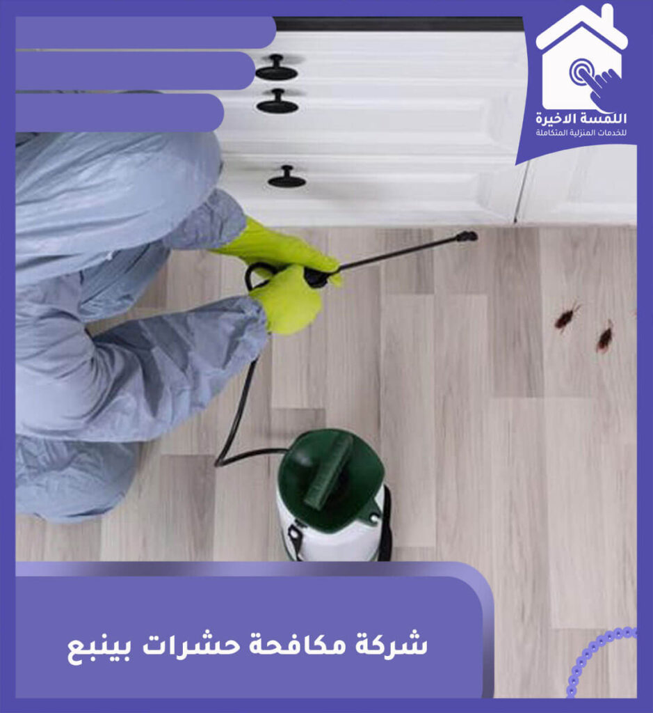 شركة مكافحة حشرات بينبع